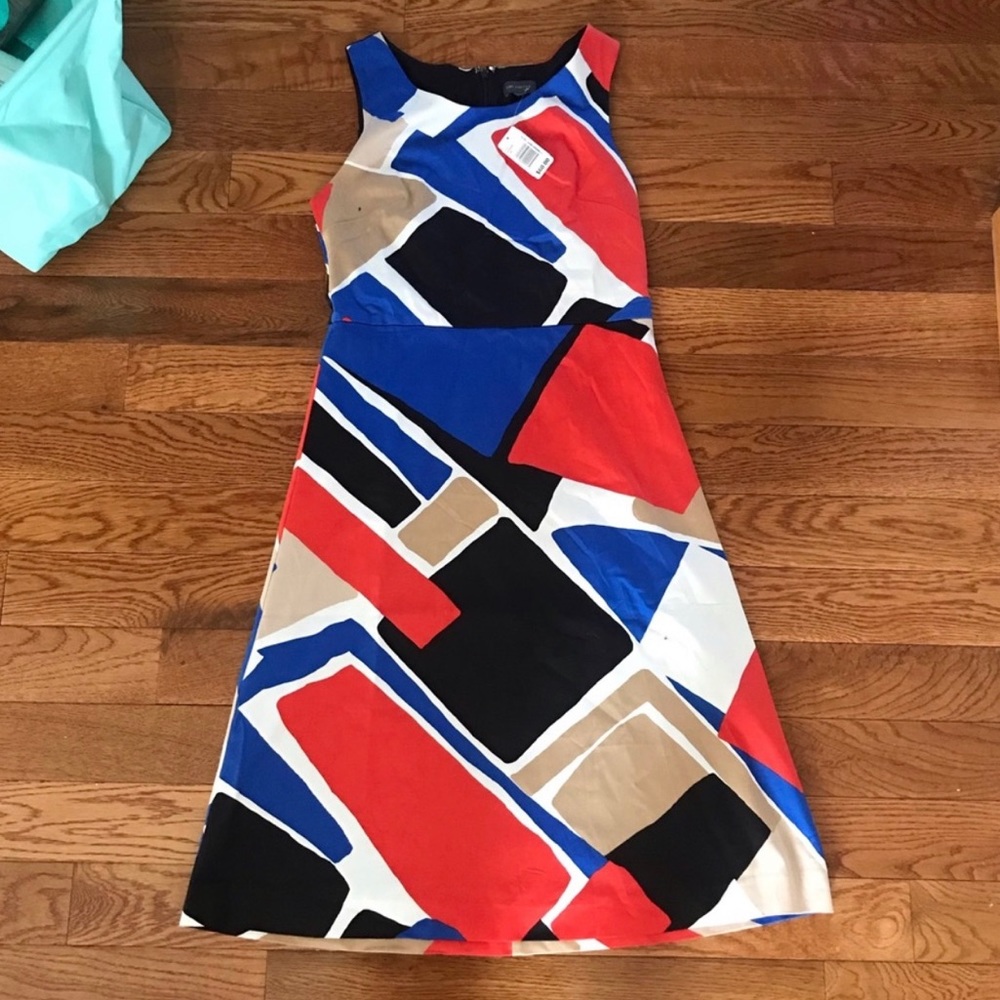 The Limited Knee Length Print Dress